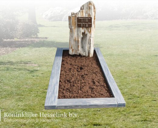 Grafsteen versteend hout